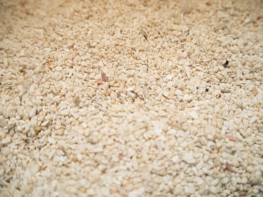 愛猫の合う猫砂は？猫砂の種類と特徴からおすすめの猫砂５選